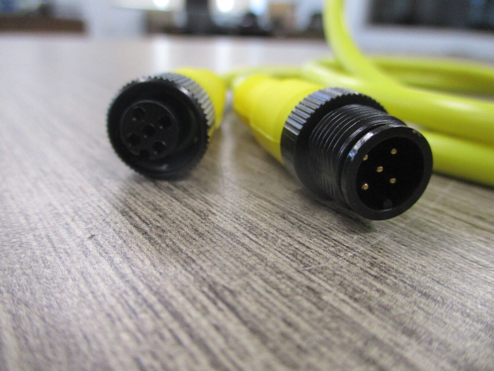 Allen-Bradley QD Cordset 889D-F5ACDM-2 Ser. B 5 pin 2 Meter DC Micro New Surplus