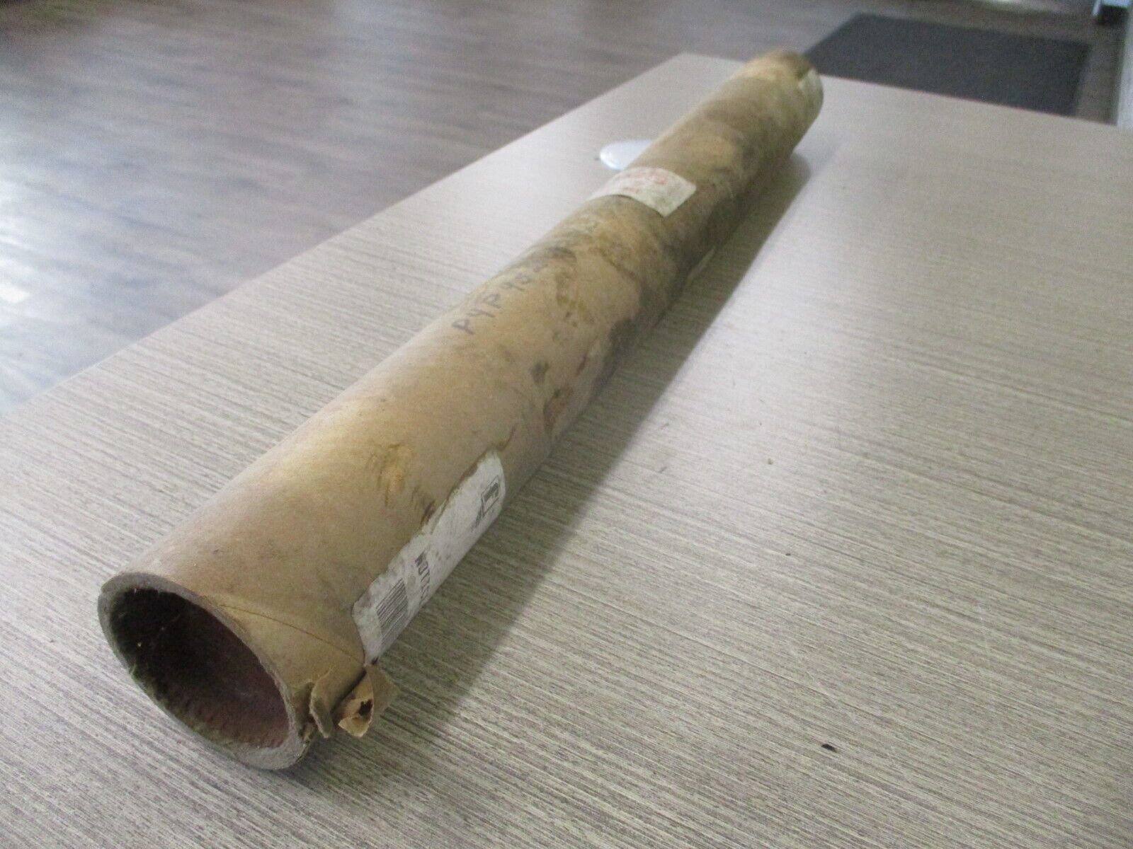 Fostoria Quartz Tube 6713454 *New Surplus*