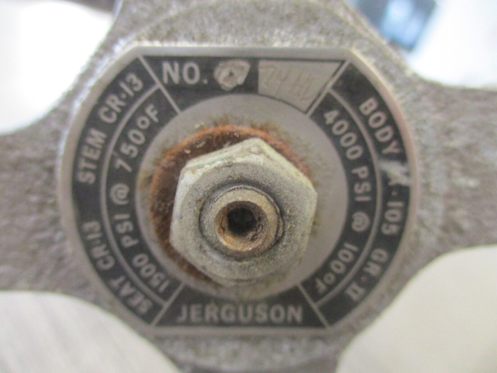 Jerguson Check Valve 7YHV Used.