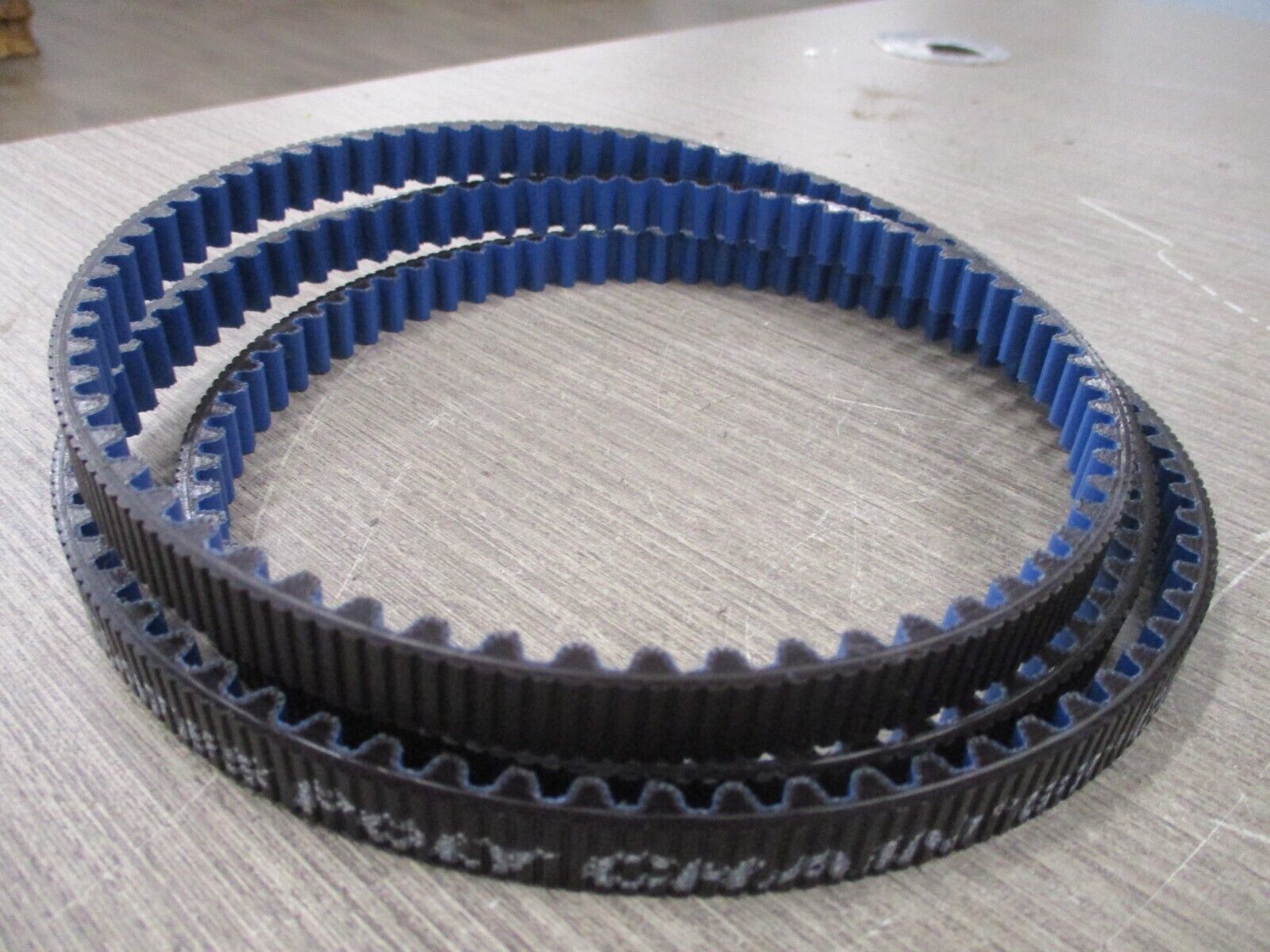 Gates Poly Chain GT Carbon Belt 8MGT-1600-12 *No Box* New Surplus