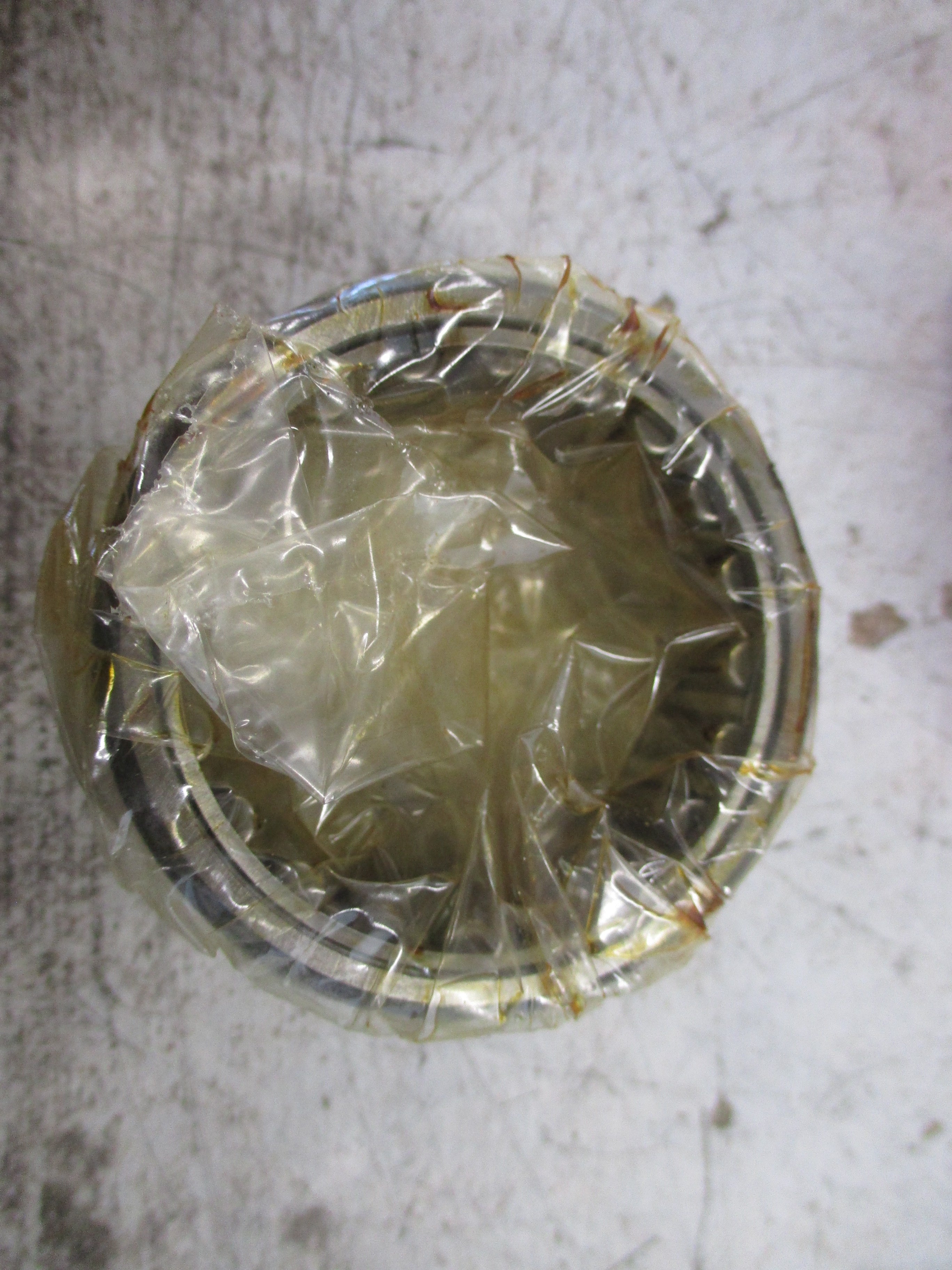 McGill Needle Bearing MR 24 N New Surplus