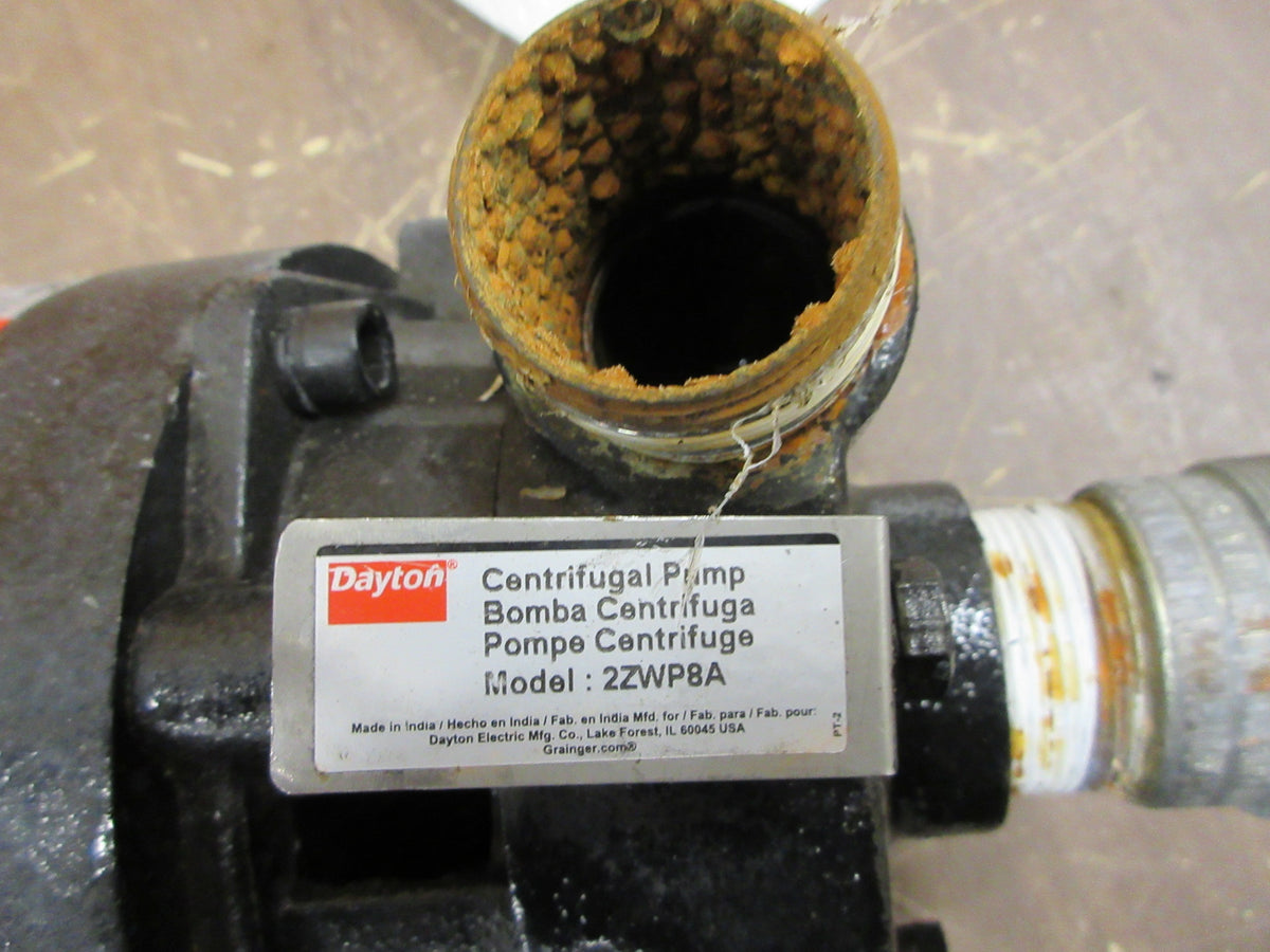 Dayton Centrifugal Pump 2ZWP8A 1.5 HP 3450 RPM 60FT Head Max 1.5 GPM Max Used